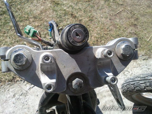 Photo 2529712