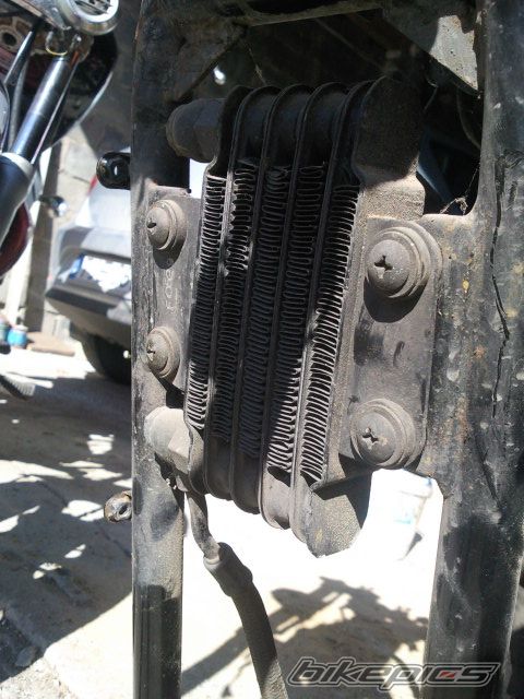 Photo 2529714