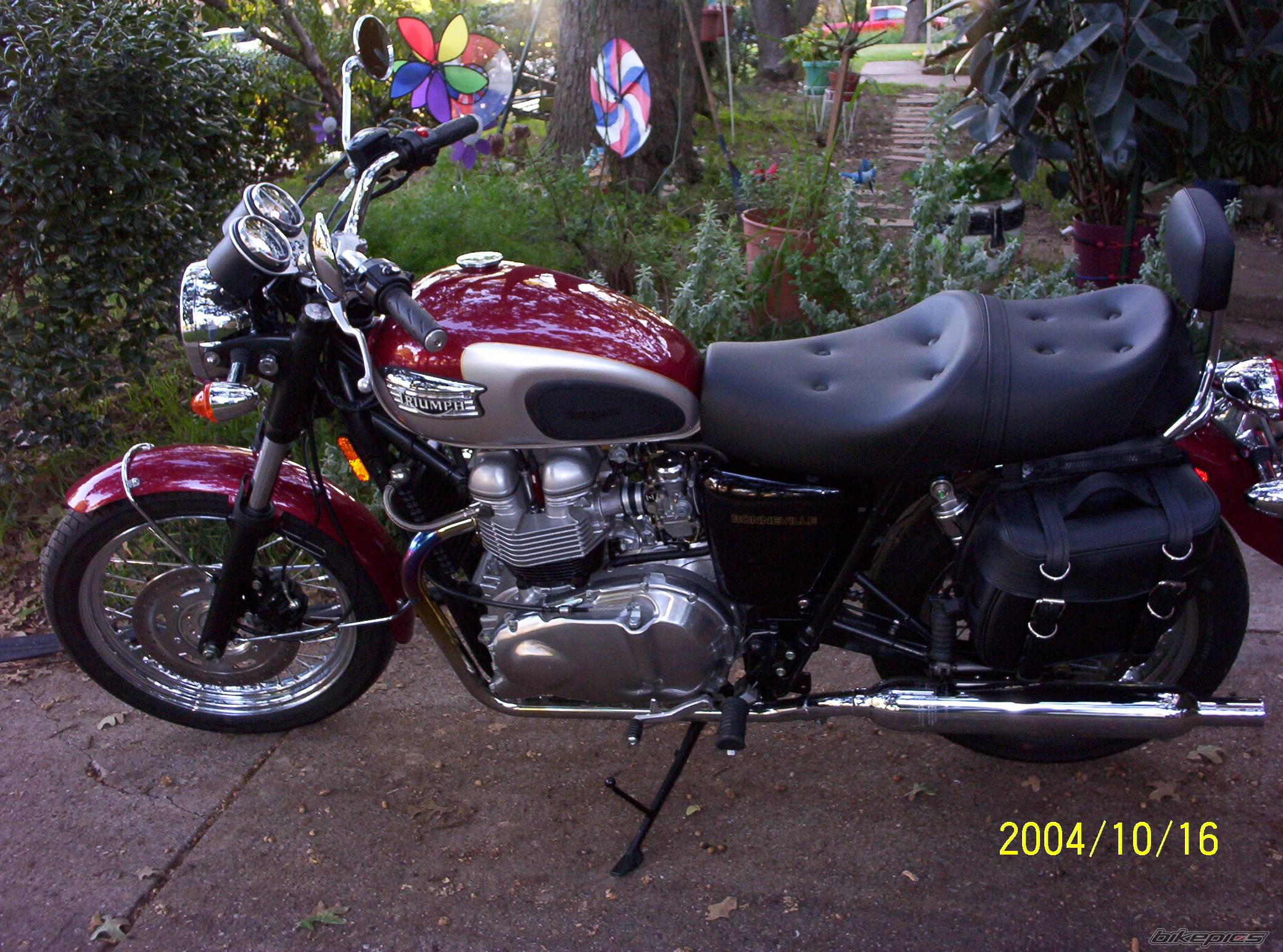 Photo 252973