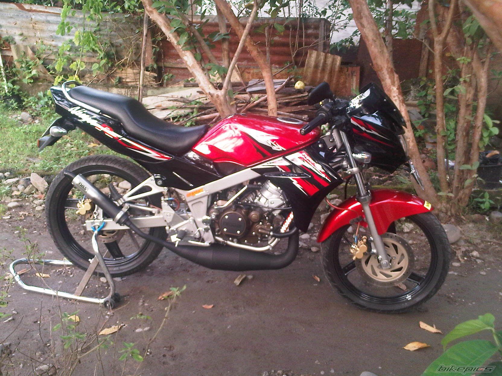 Photo 2529758