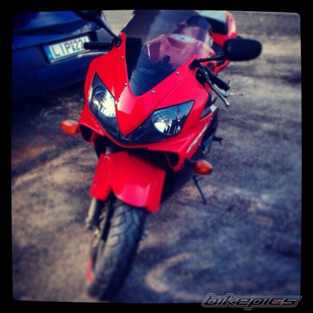 Photo 2529799