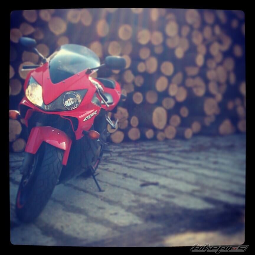 Photo 2529807