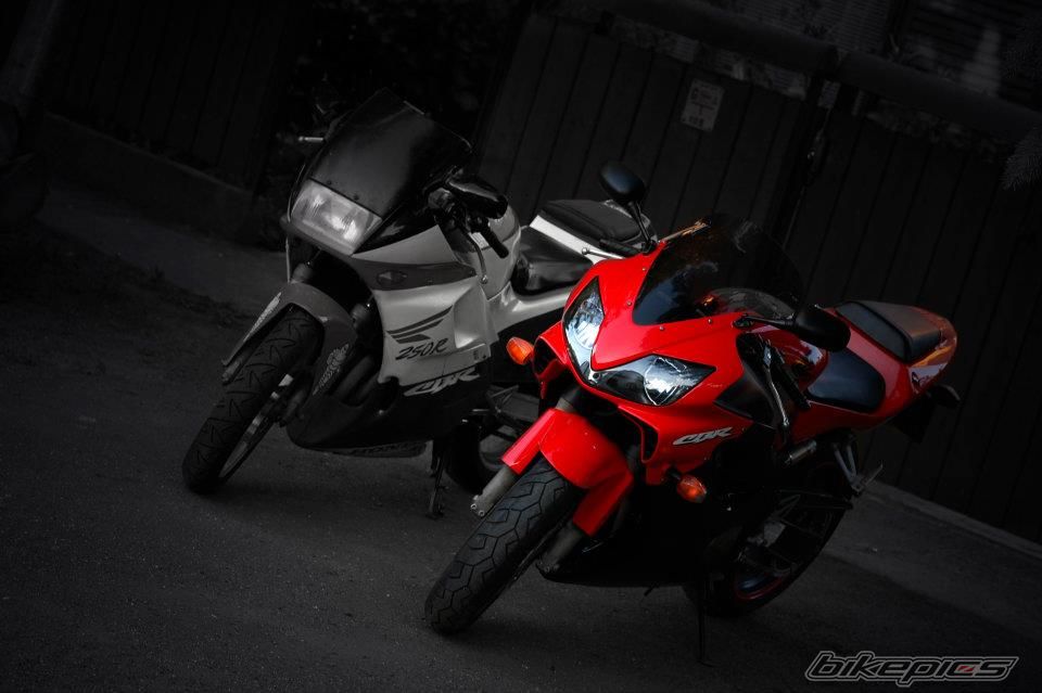 Photo 2529809