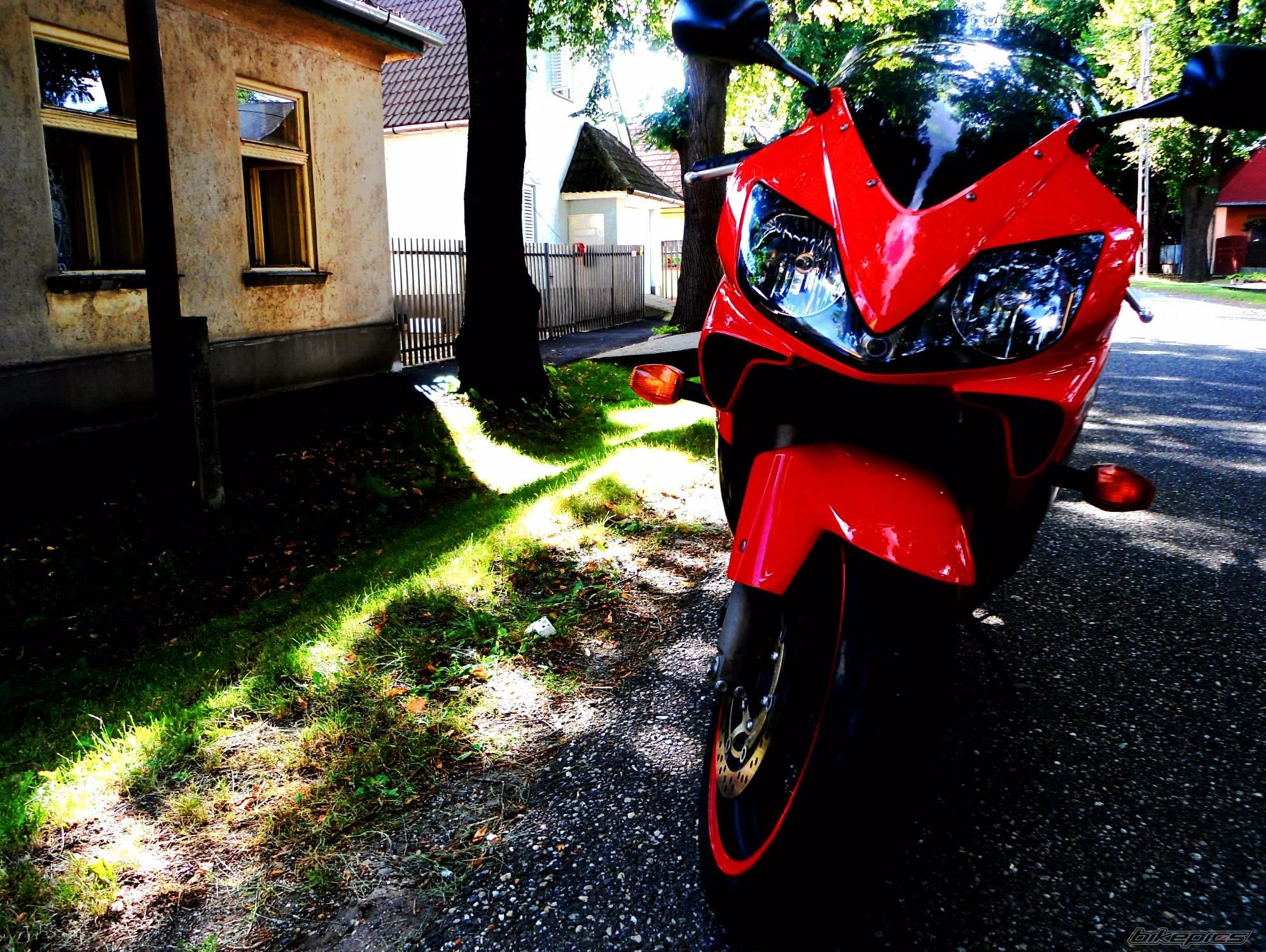 Photo 2529842