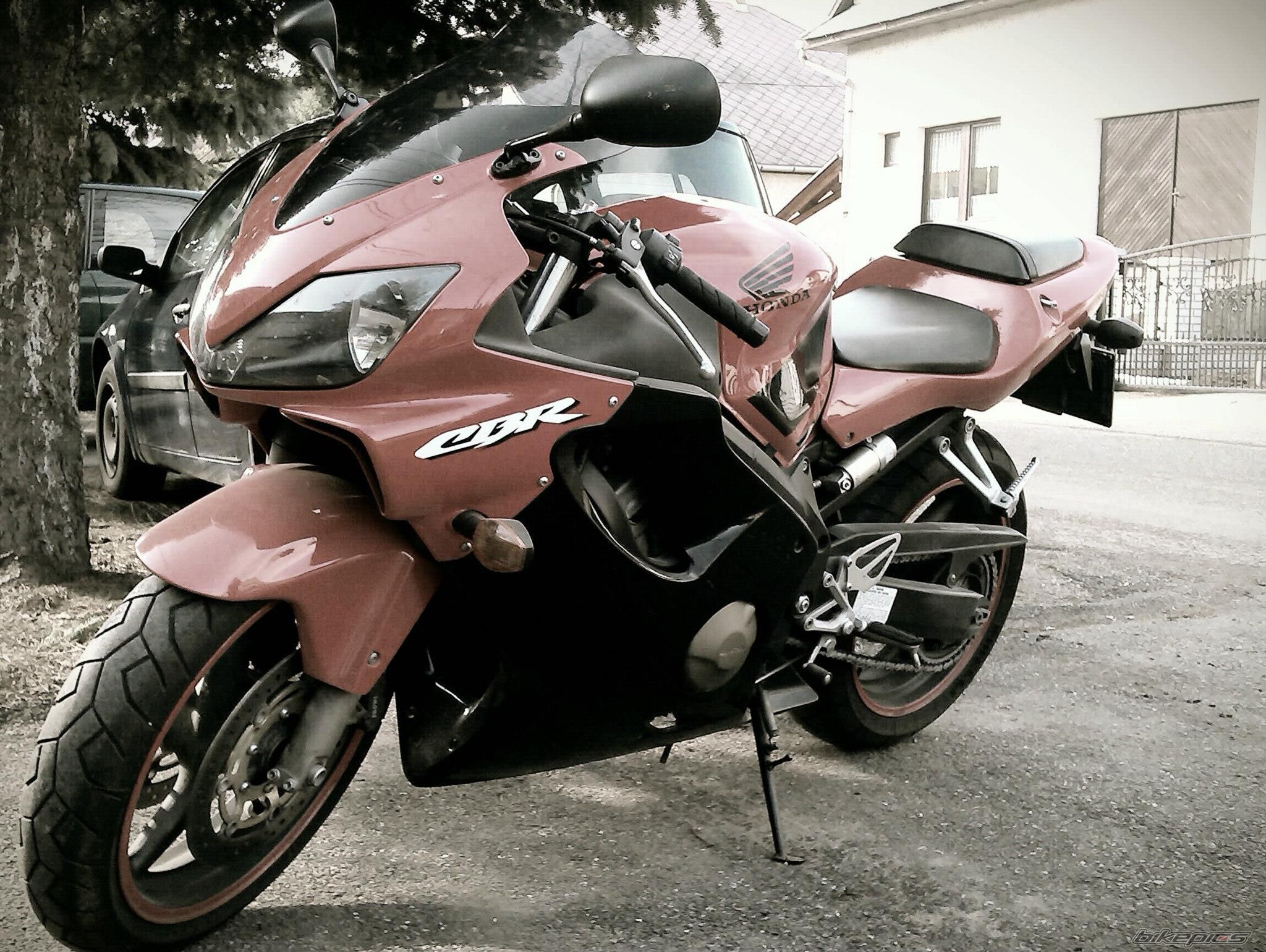 Photo 2529848