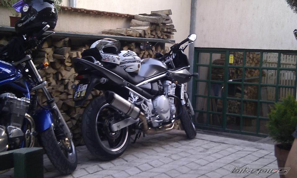 Photo 2530019