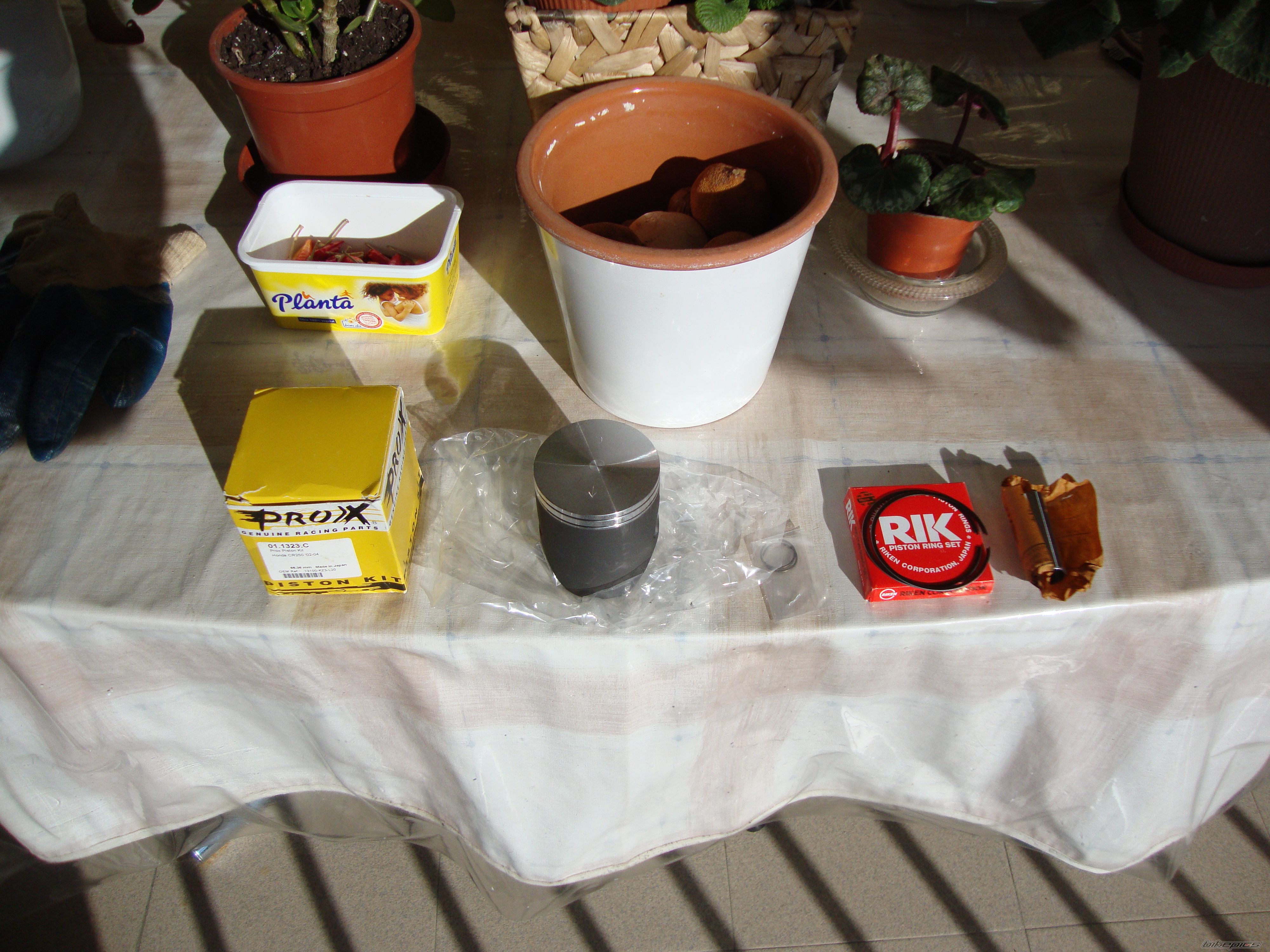 Photo 2530027