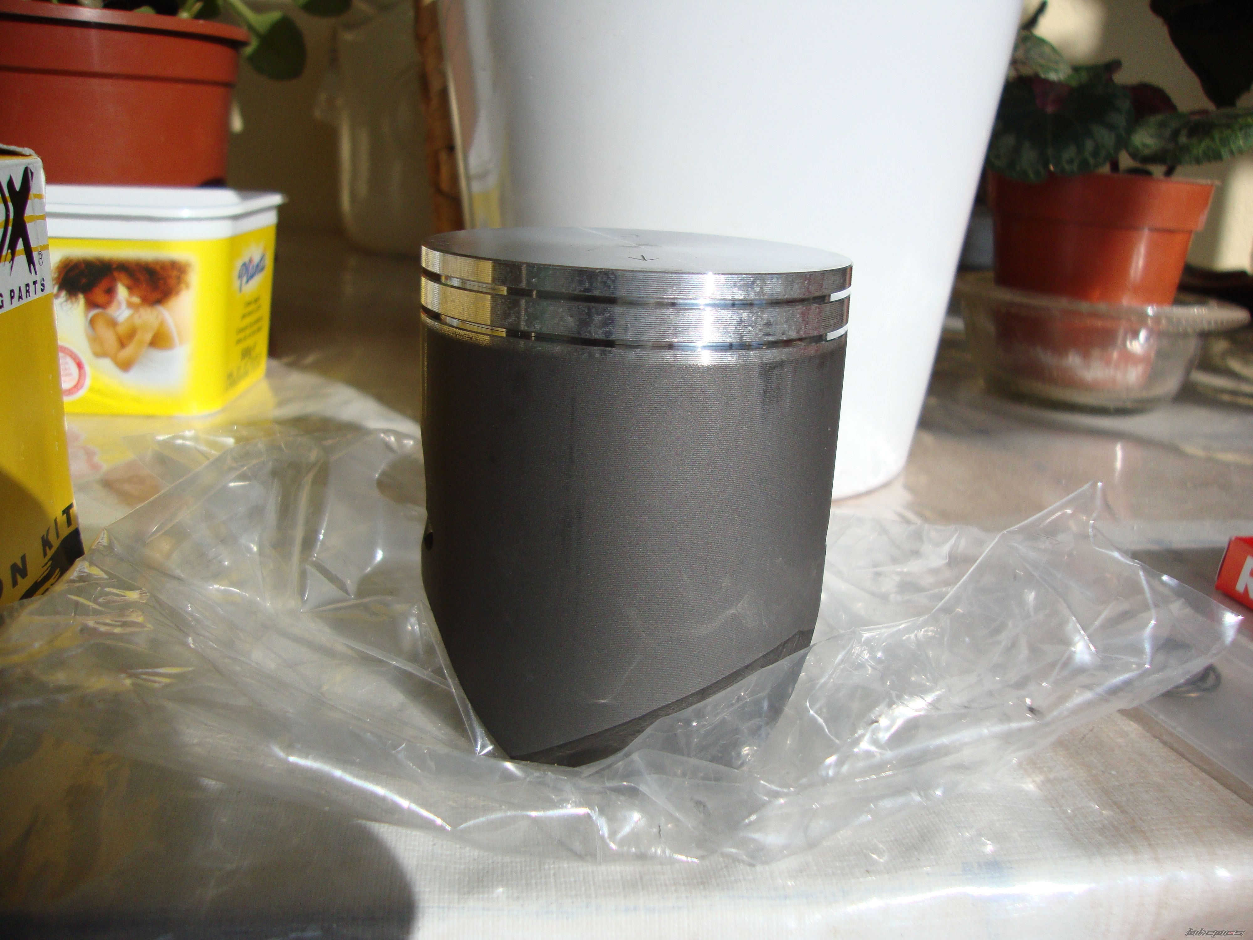 Photo 2530039