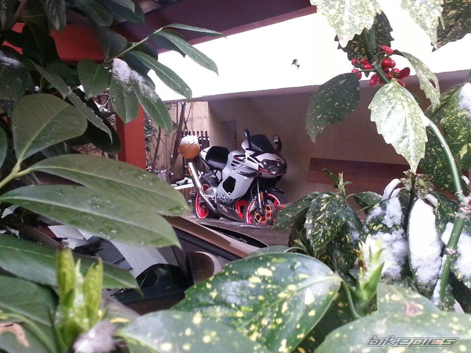 Photo 2530043