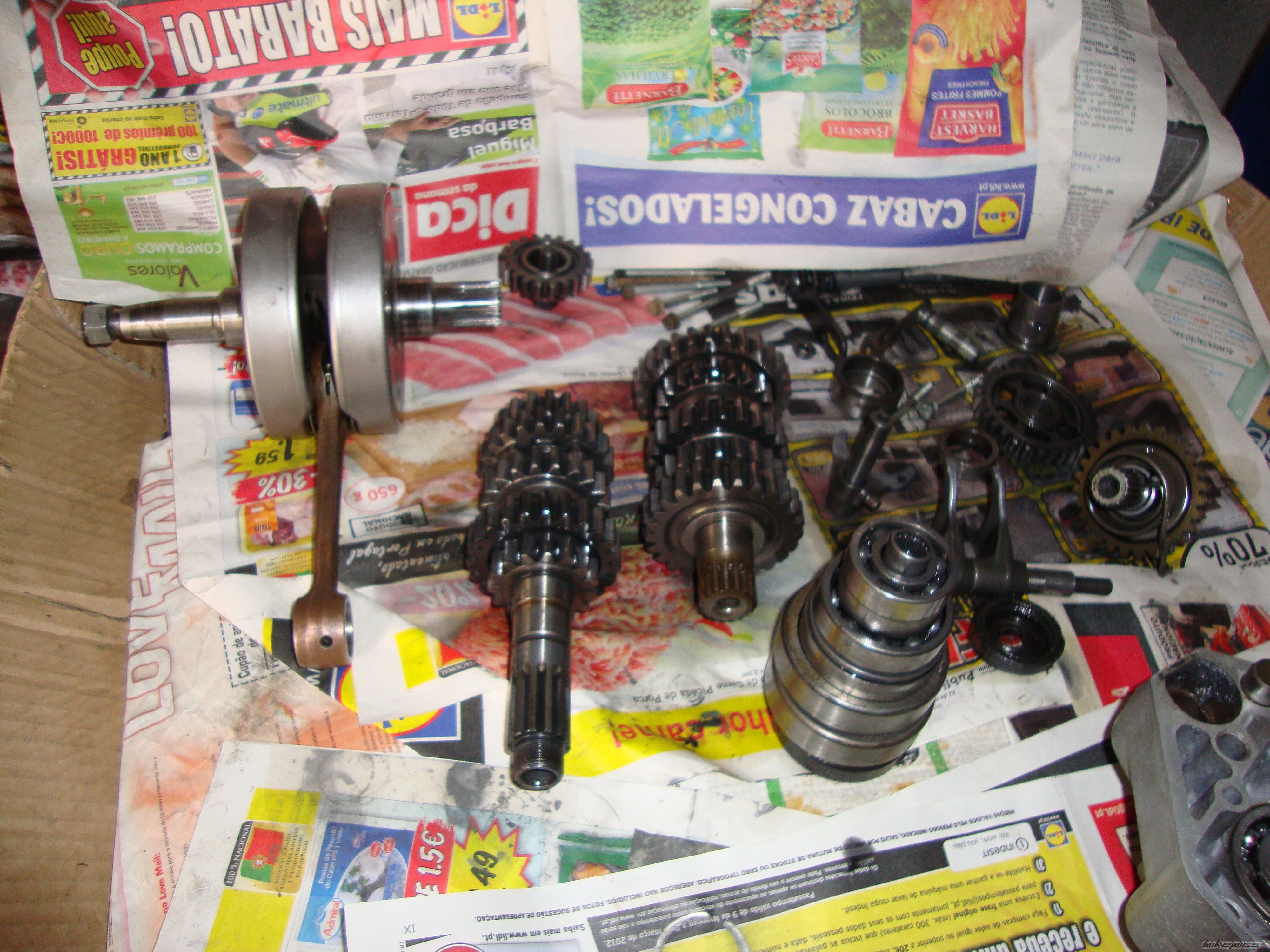 Photo 2530055