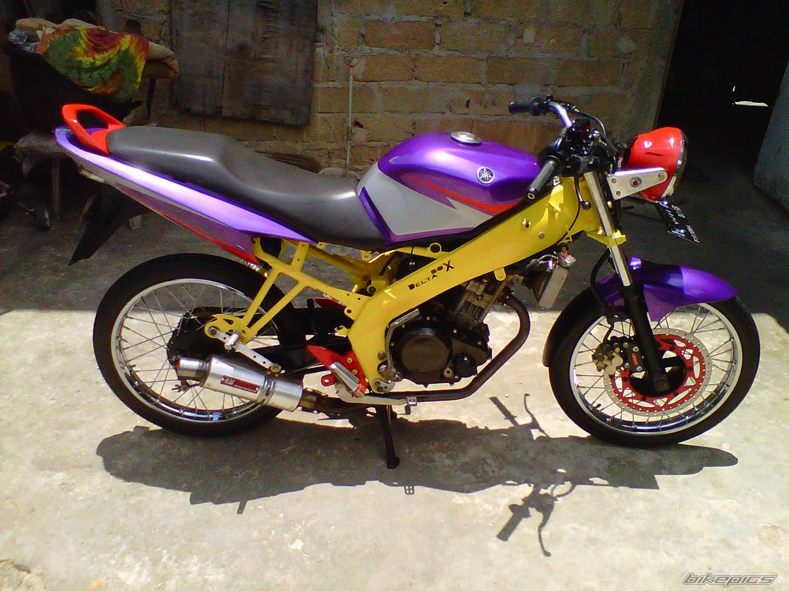 Photo 2530099