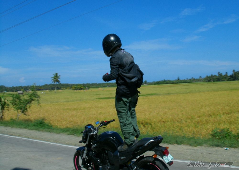 Photo 2530133