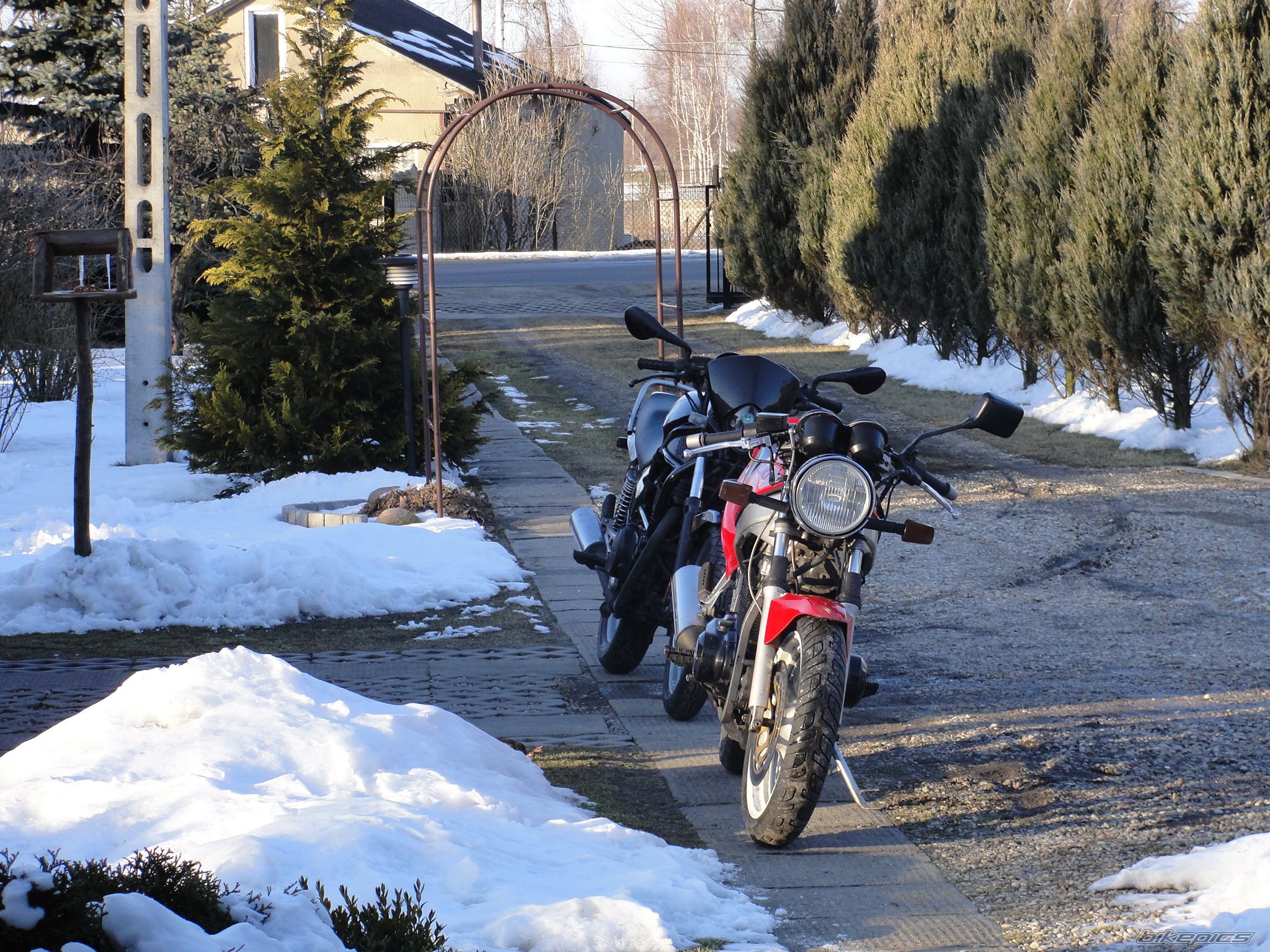 Bike Photo 2530167