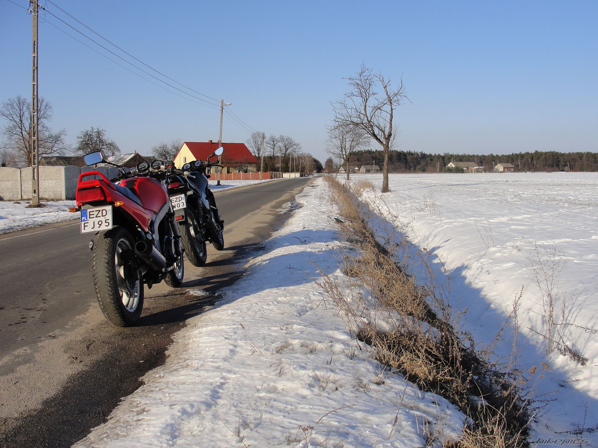 Photo 2530172
