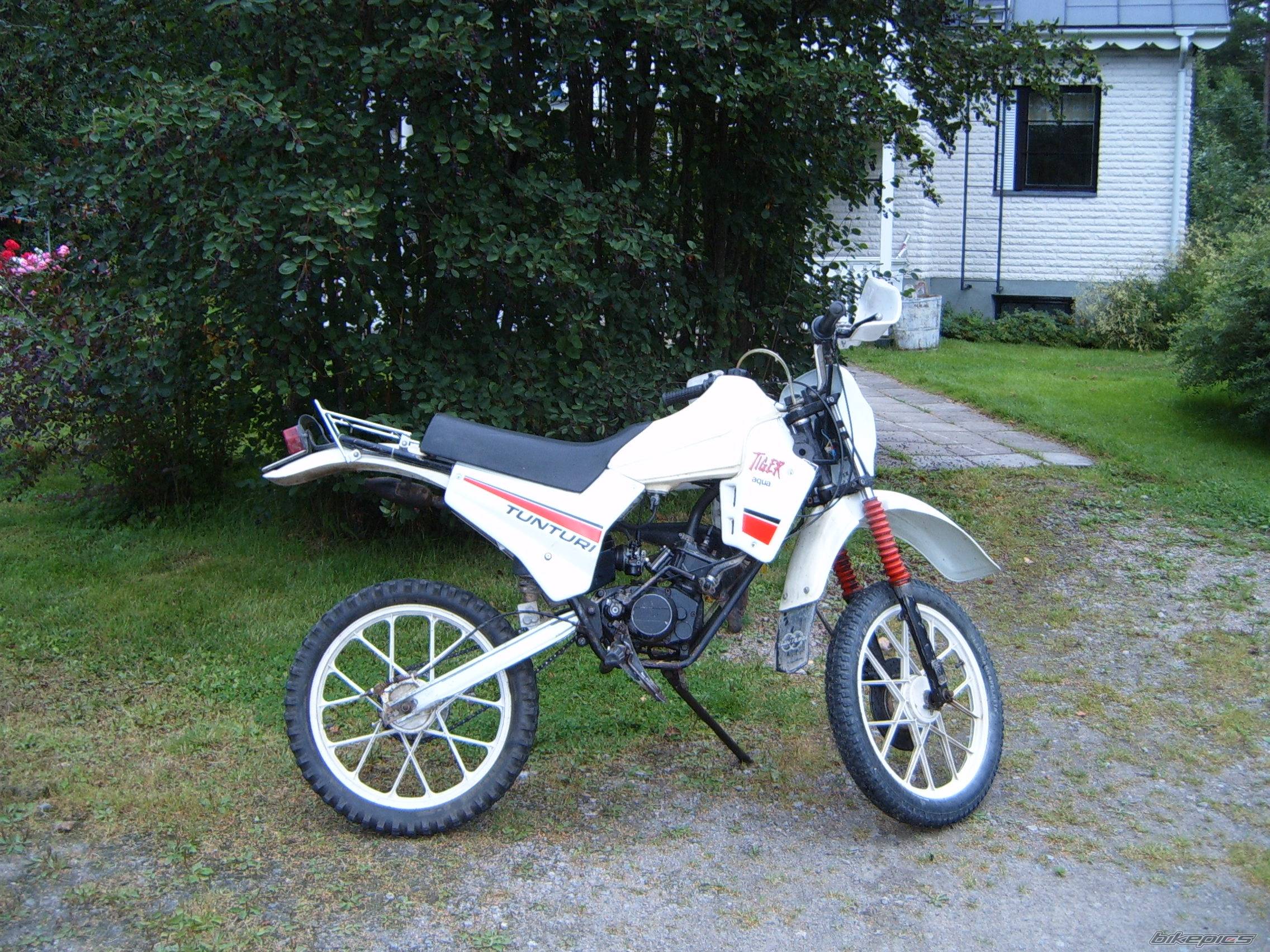 Photo 253024