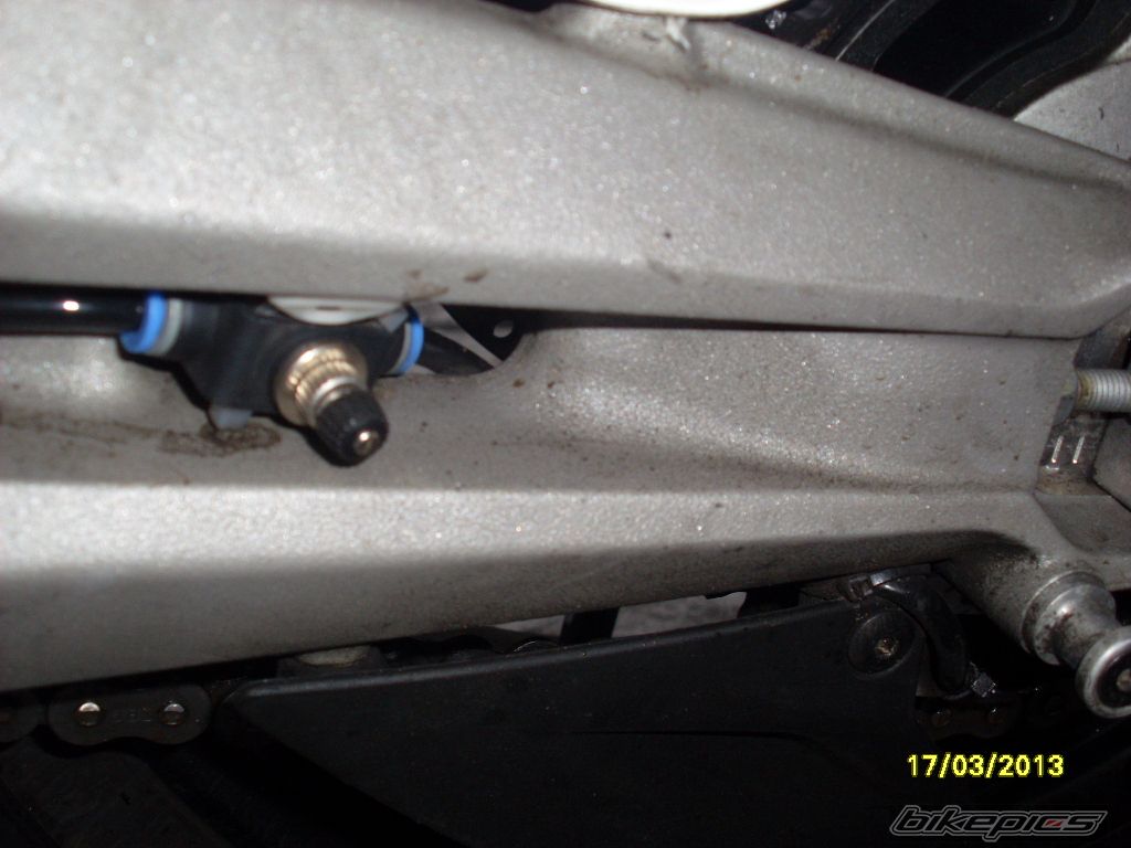 Photo 2530261