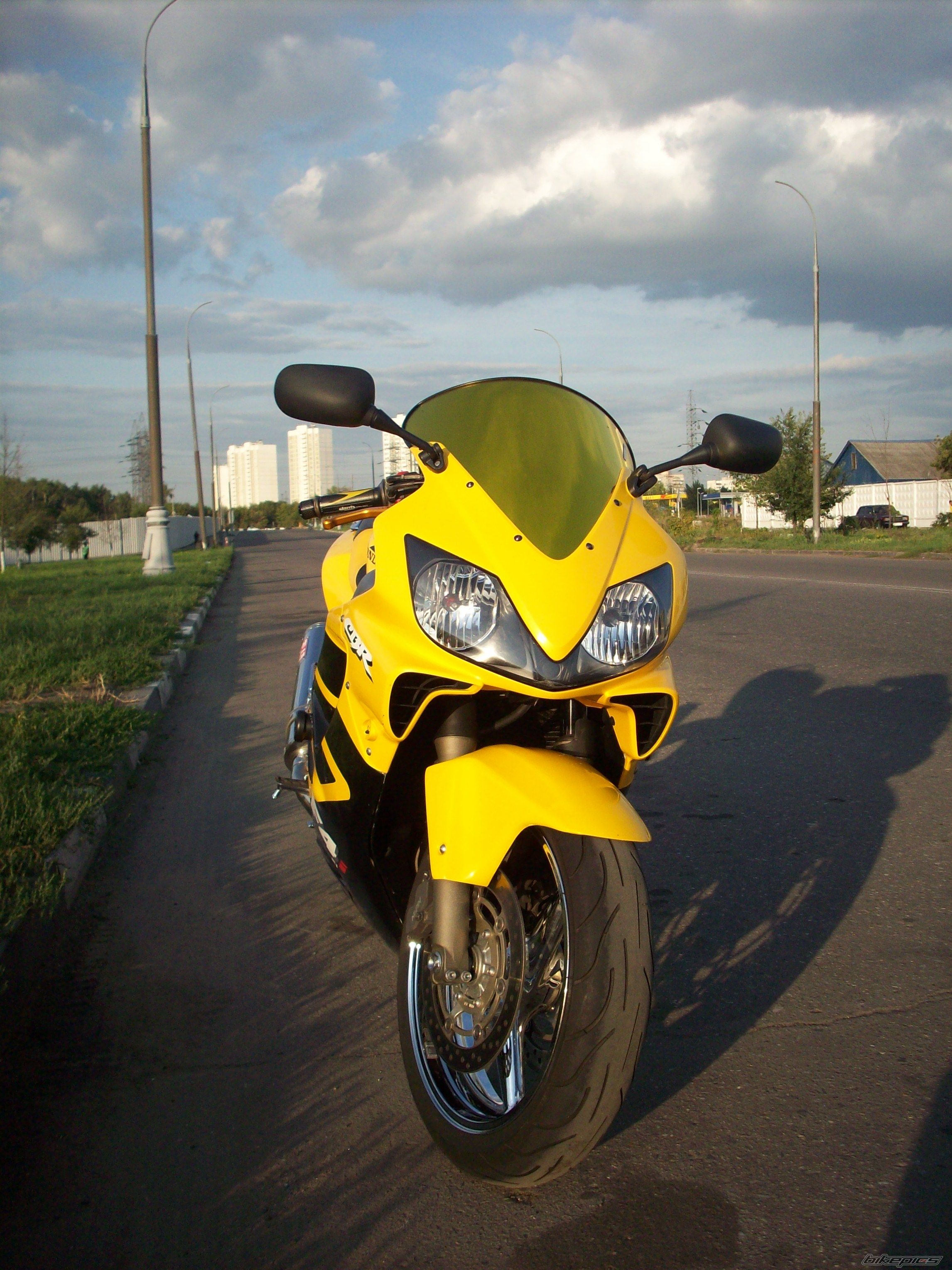 Photo 2530279