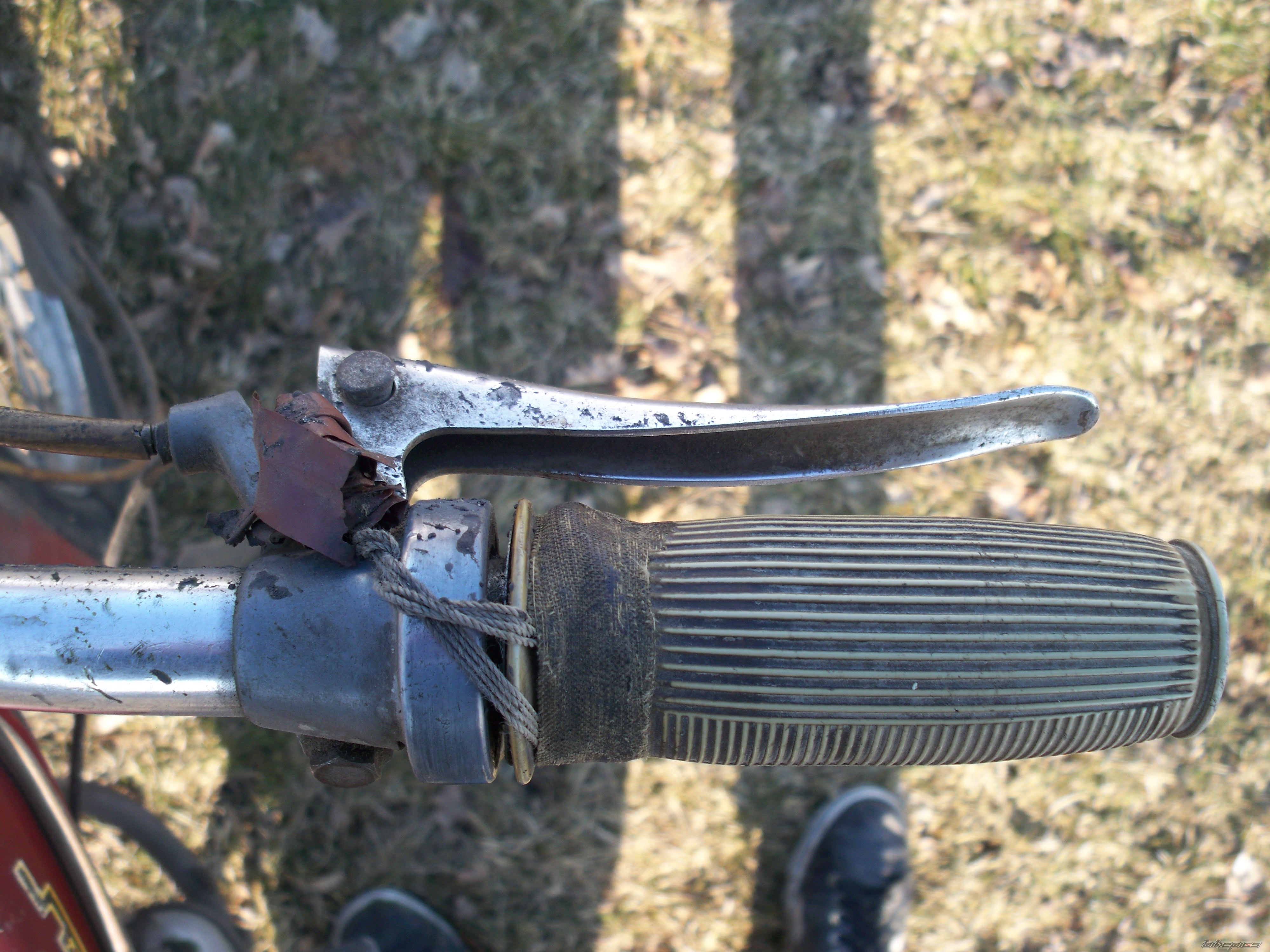 Photo 2530298