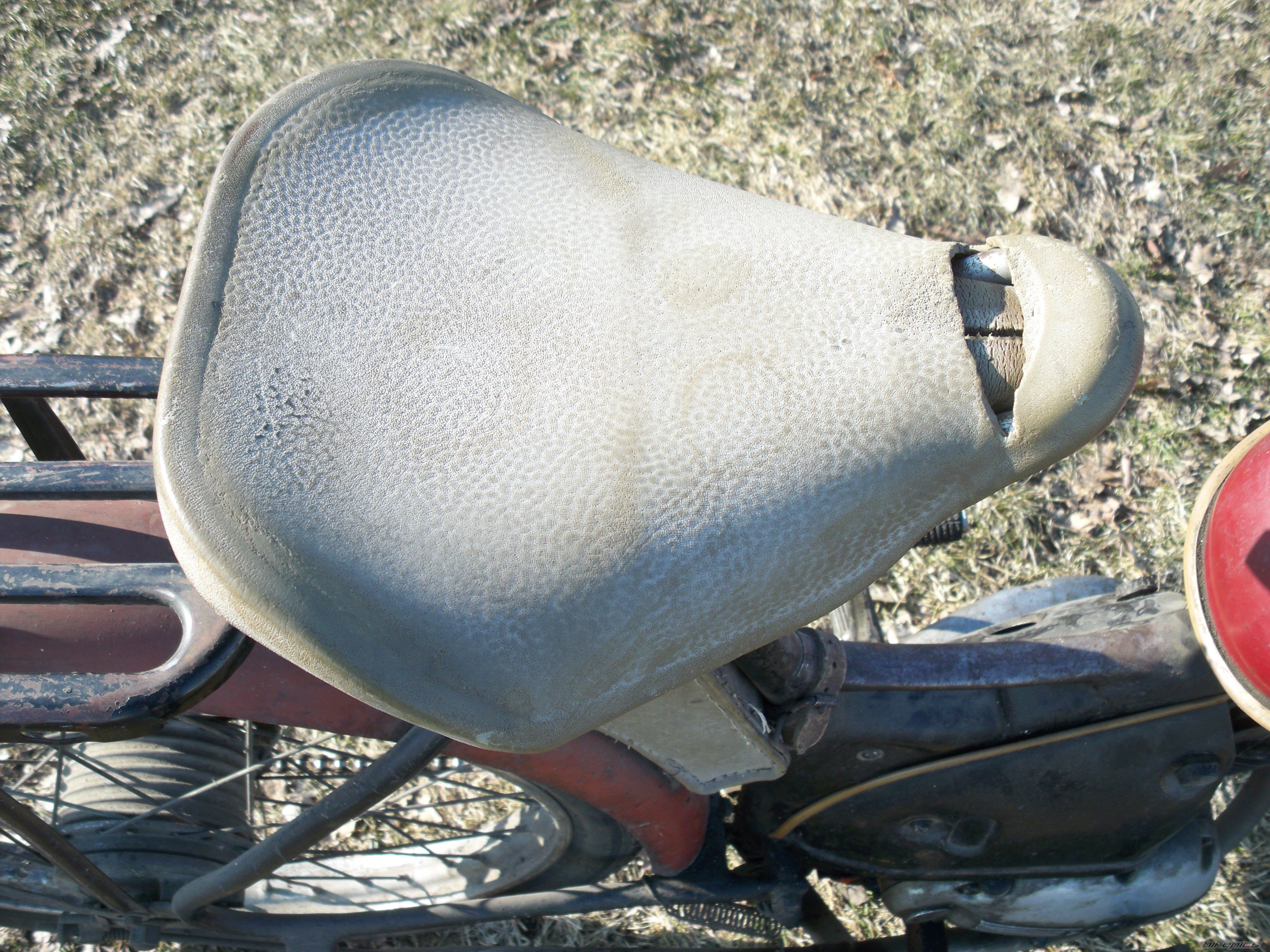 Photo 2530305