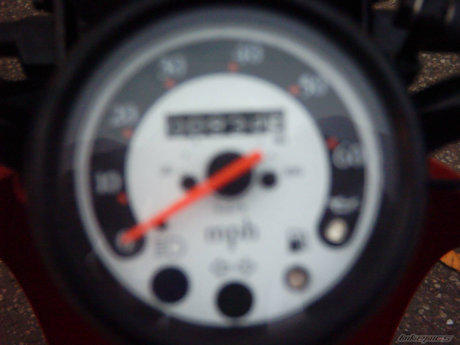 Photo 253031