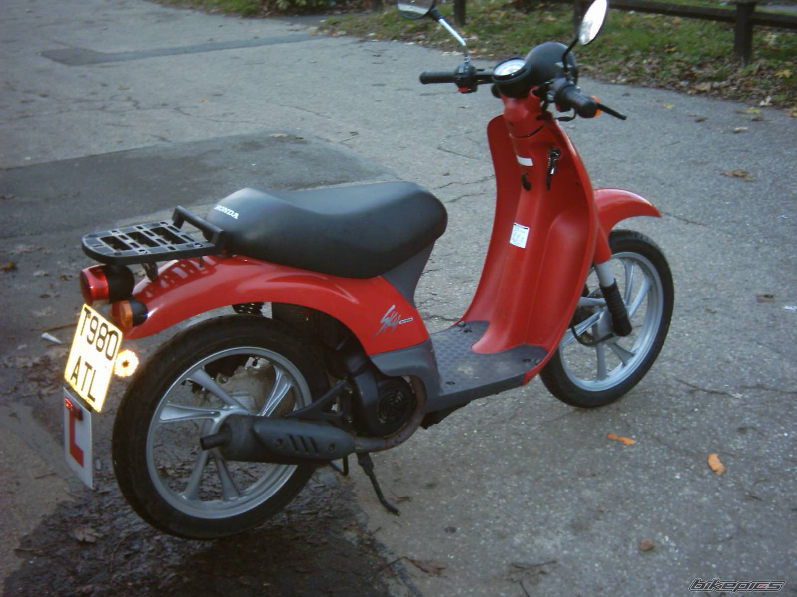 Photo 253032