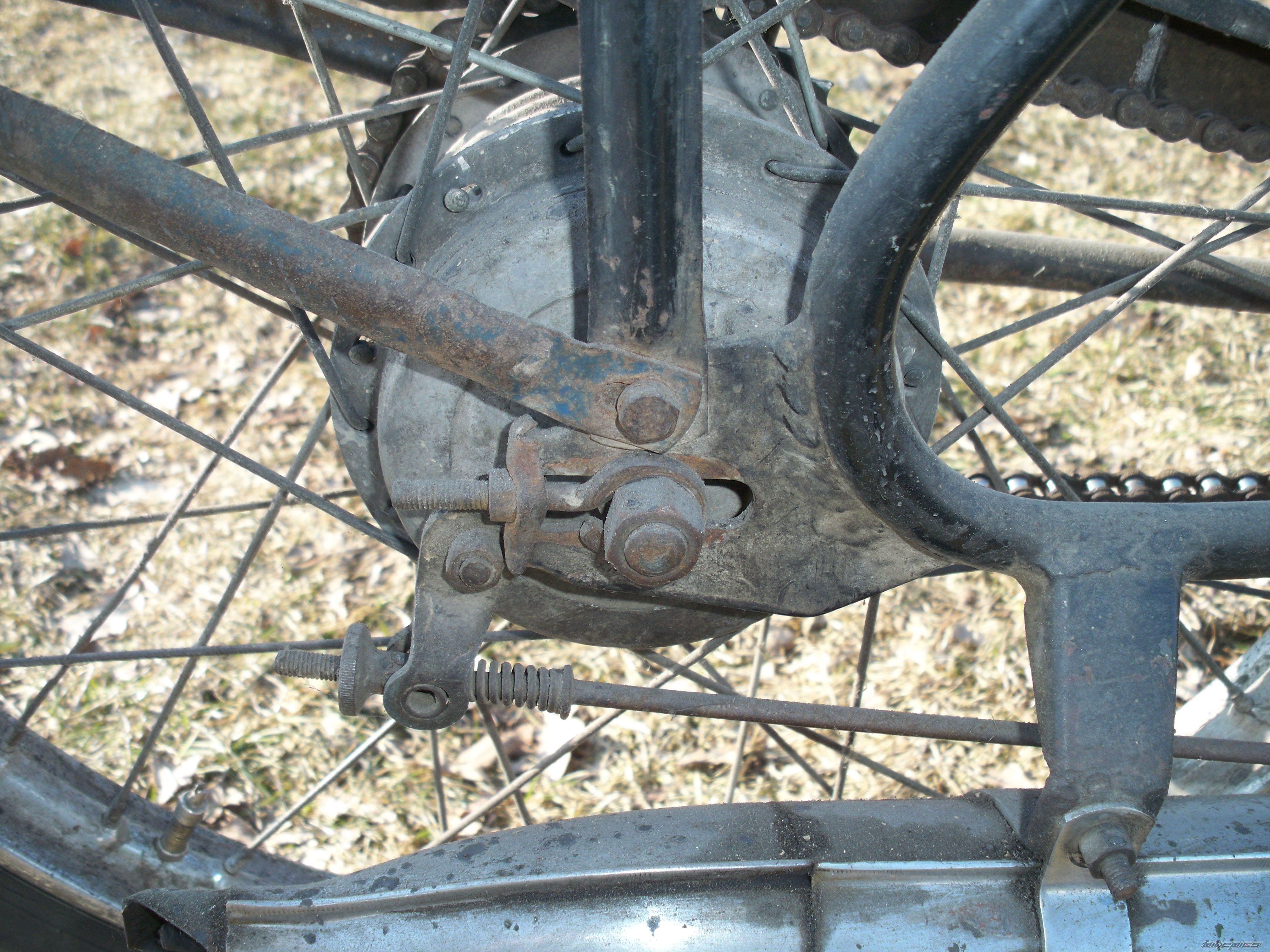 Photo 2530320