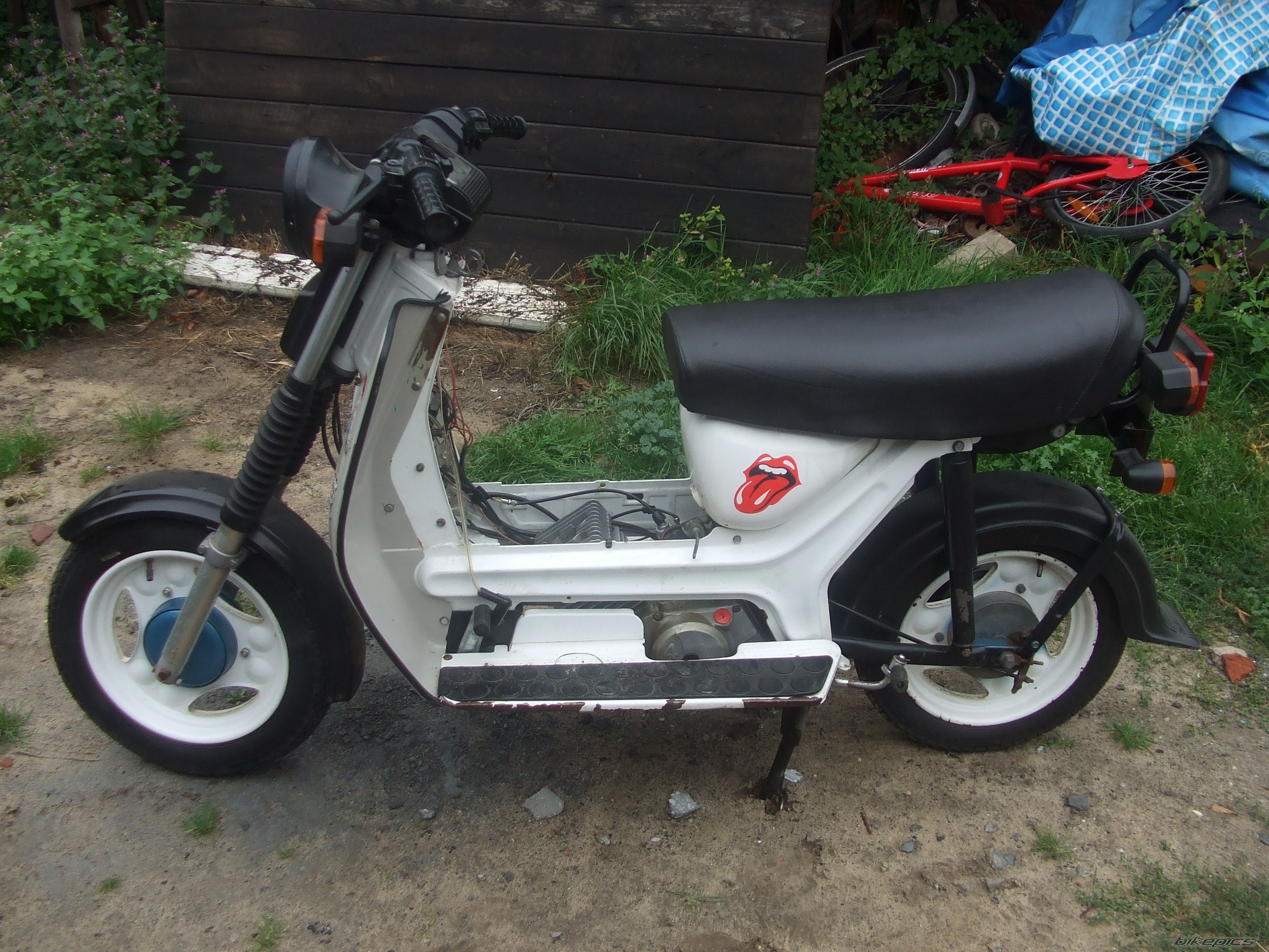 Photo 2530353