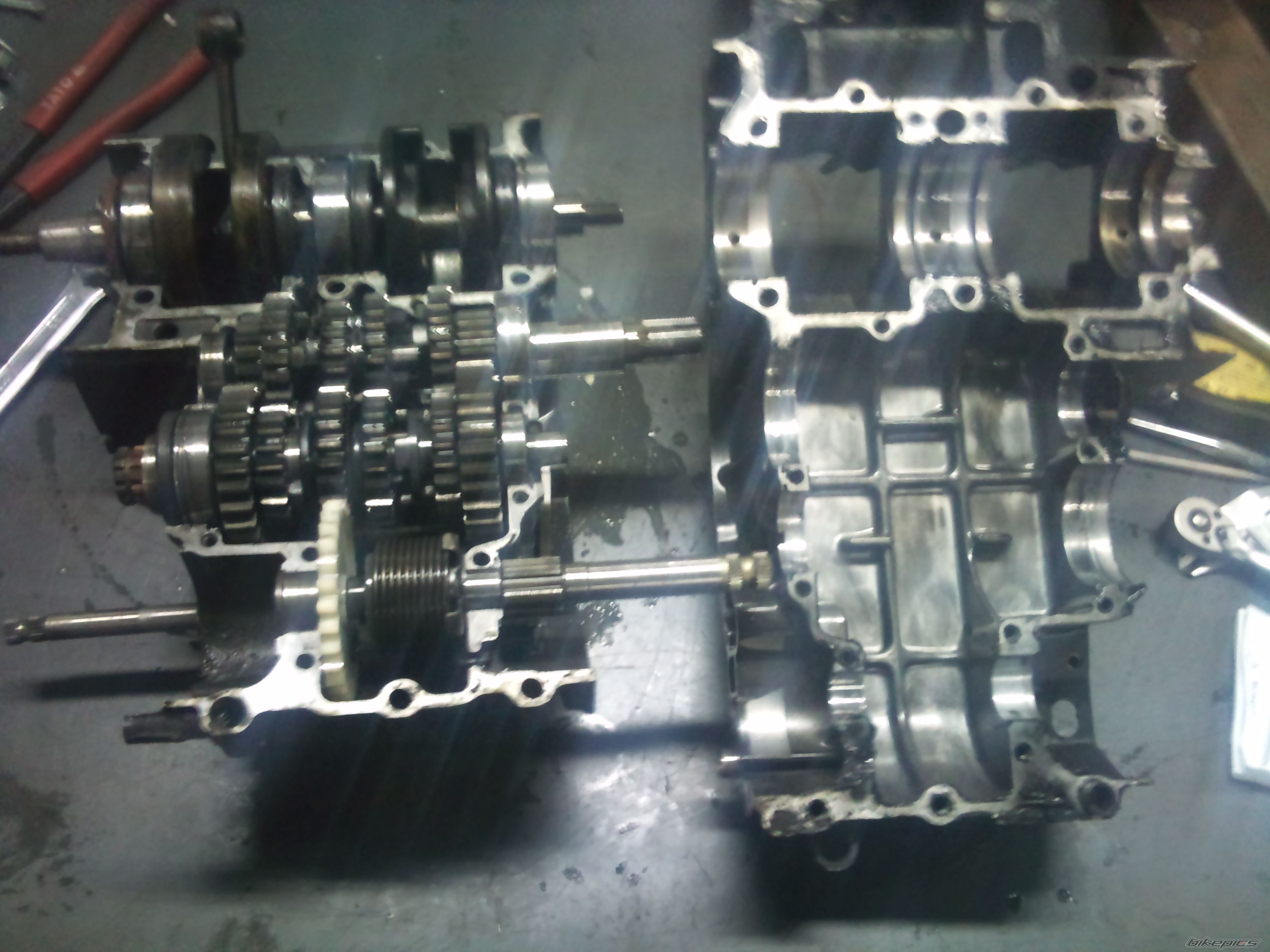 Photo 2530382