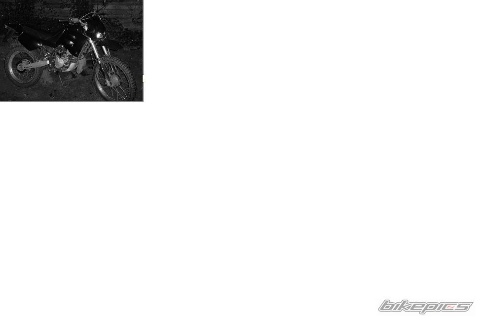 Photo 253039