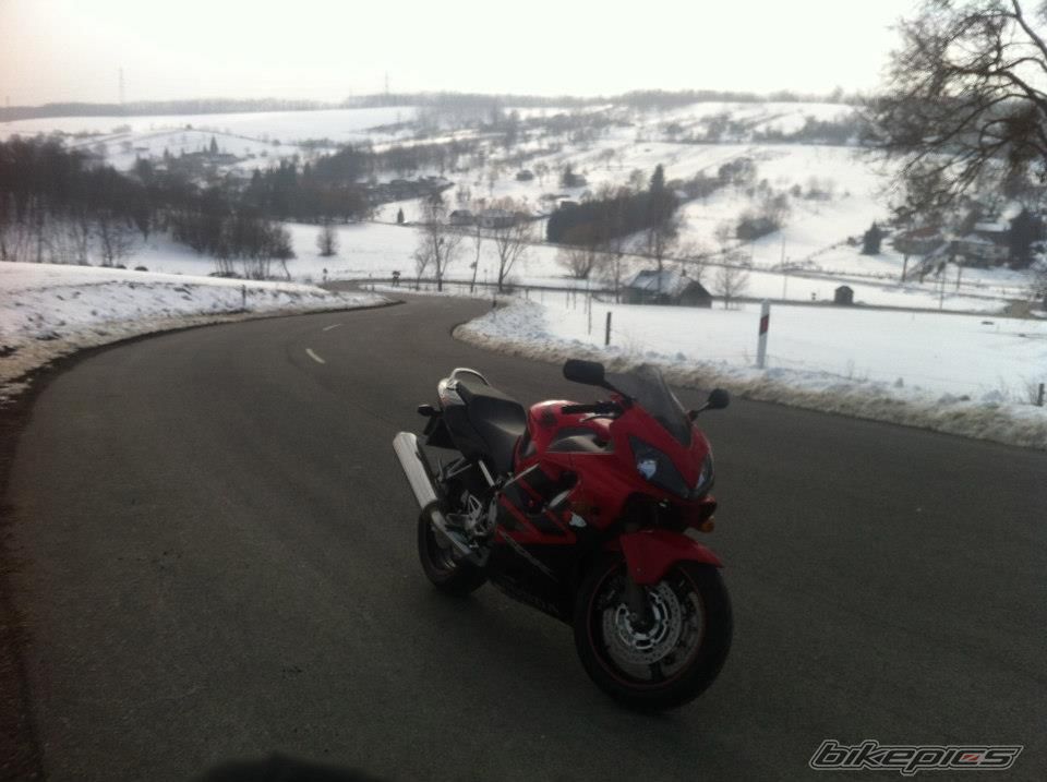 Bike Photo 2530444
