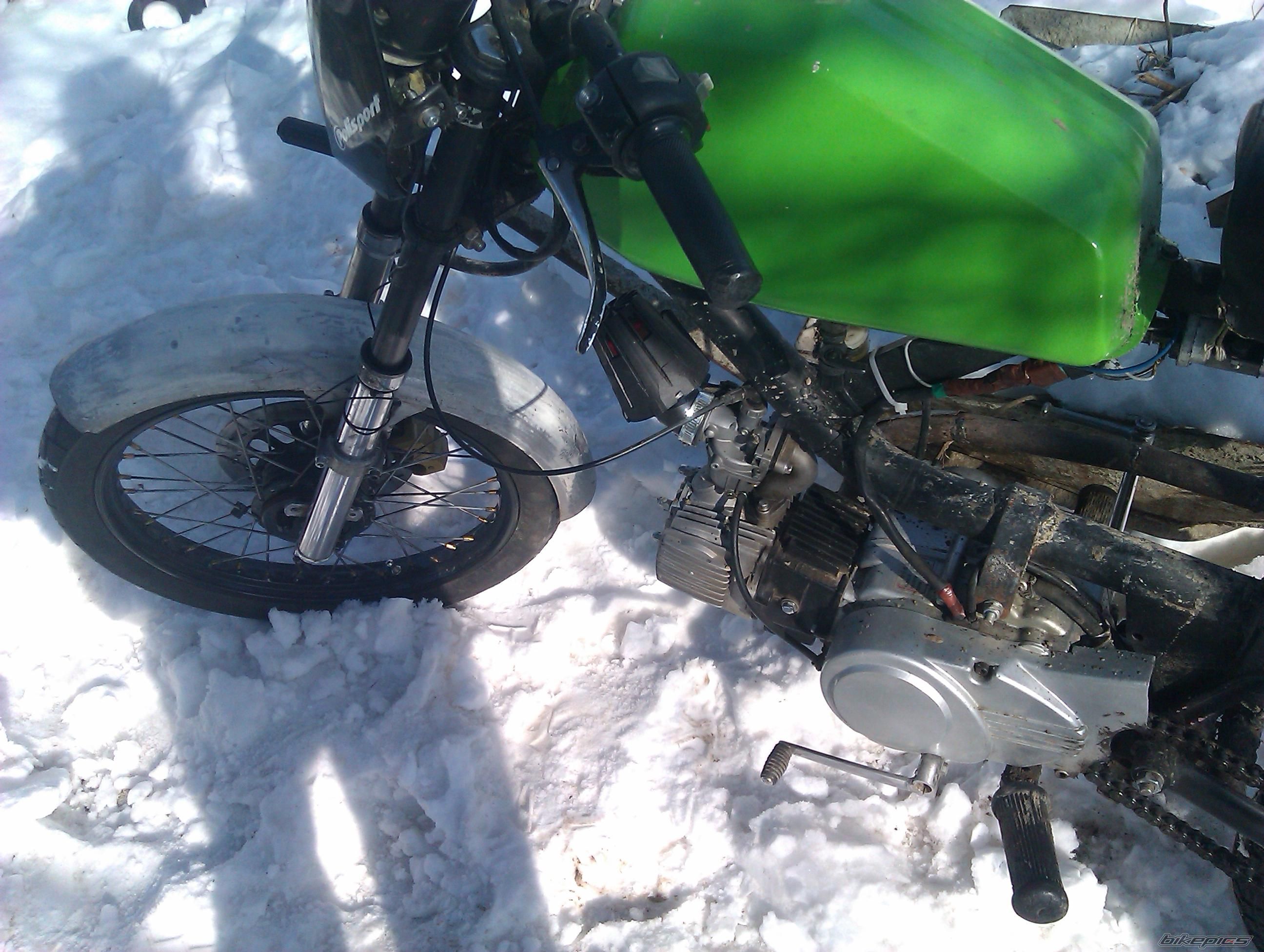 Photo 2530456