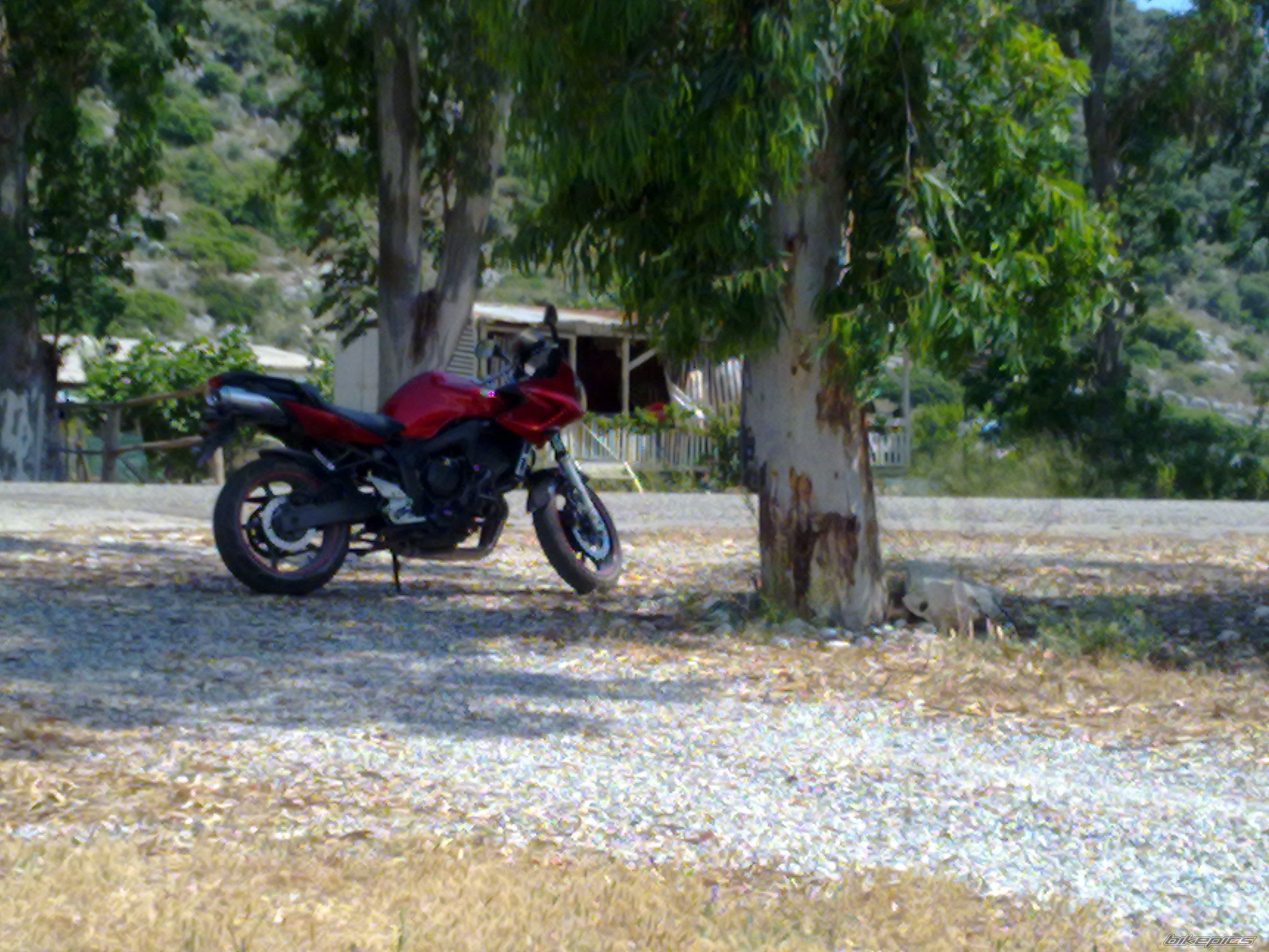Photo 2530635