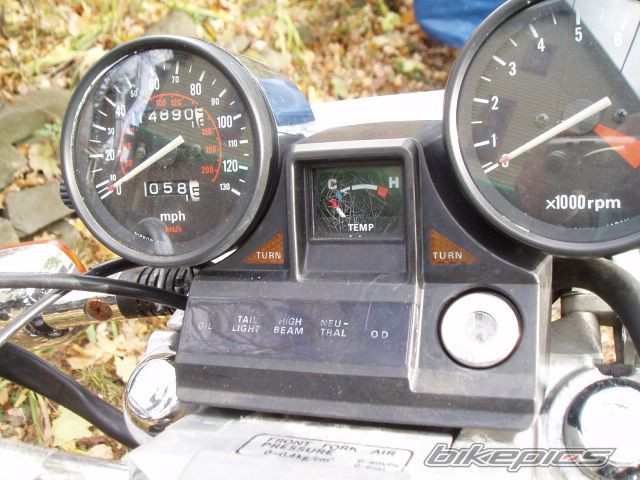 Photo 2530741