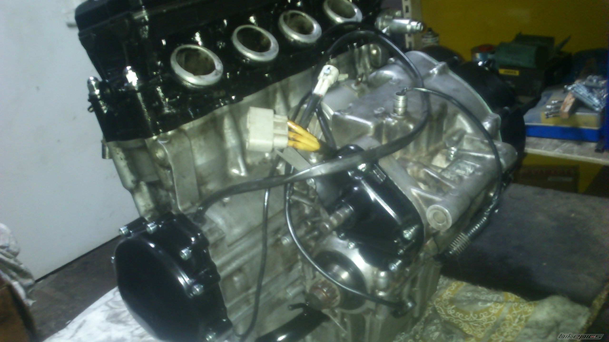 Photo 2530760