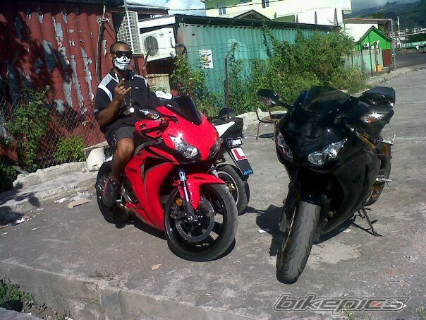 Photo 2530783
