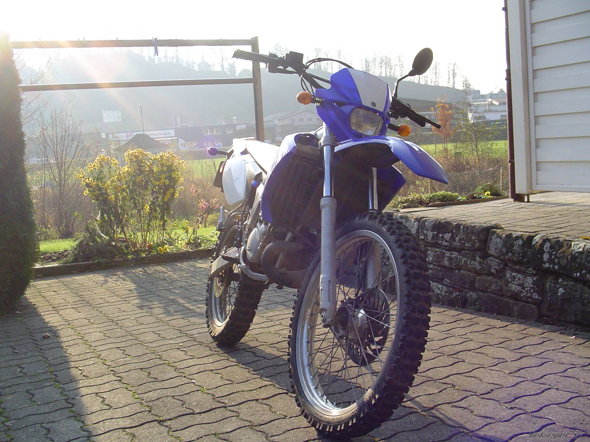 Bike Photo 253079