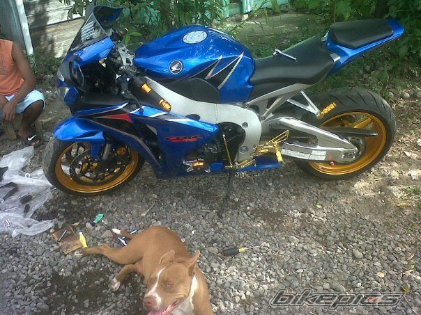Photo 2530798