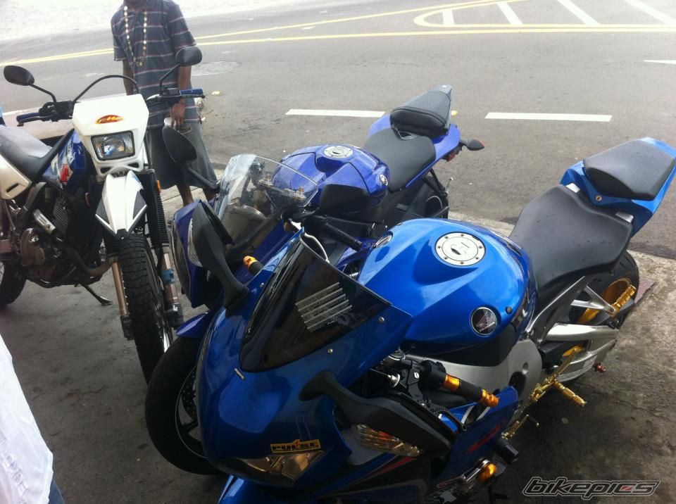 Photo 2530800