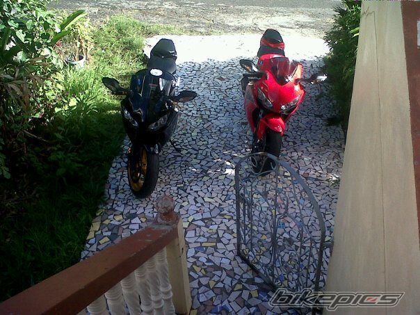 Photo 2530805