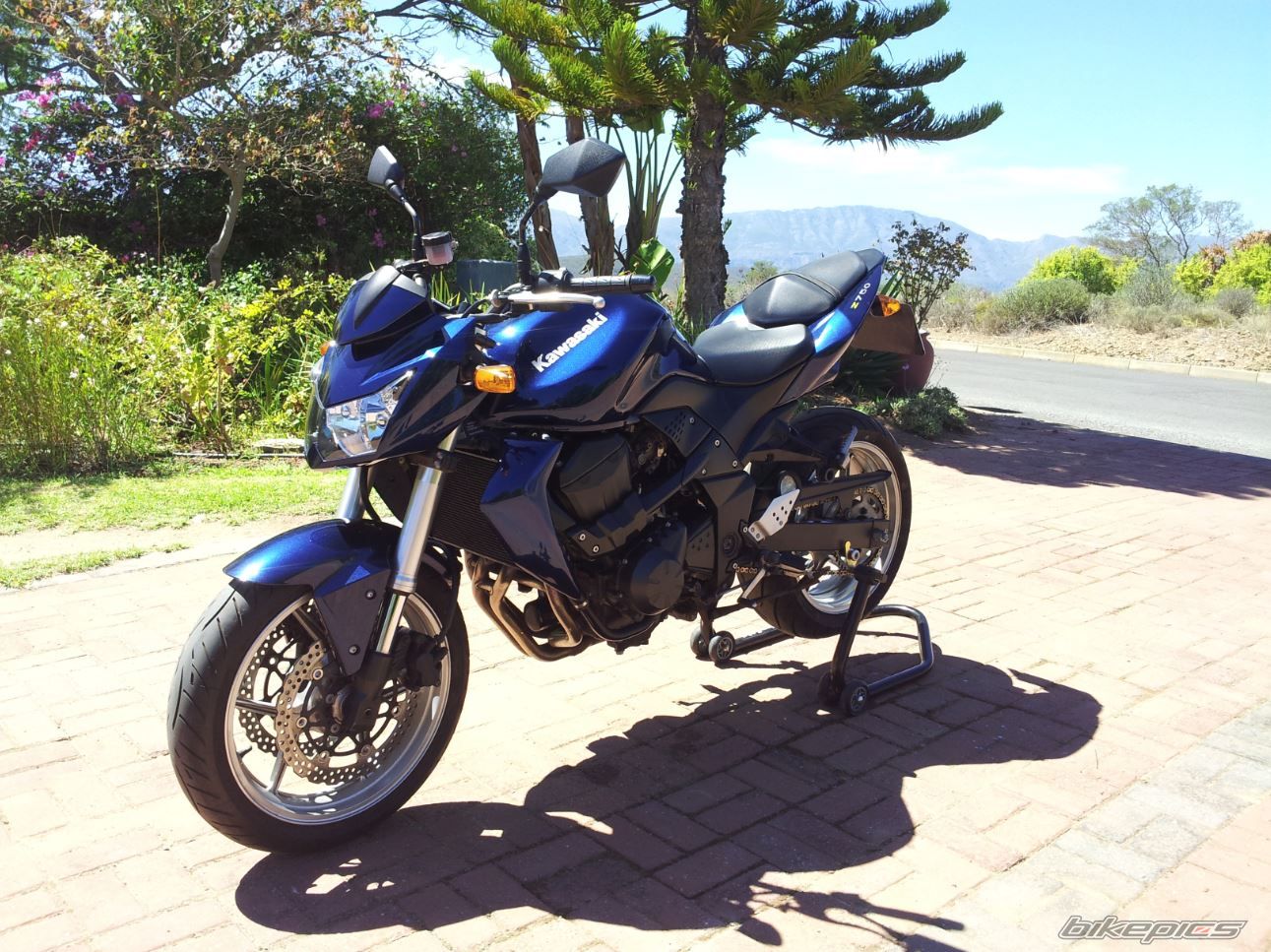 Photo 2530853