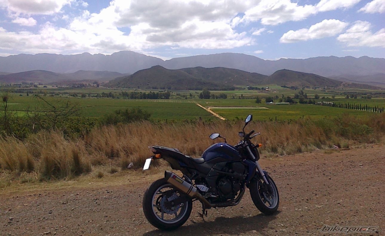 Photo 2530882