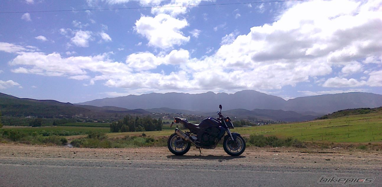 Photo 2530885