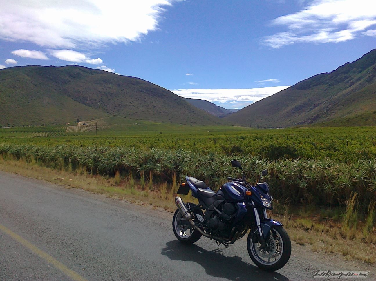 Photo 2530886