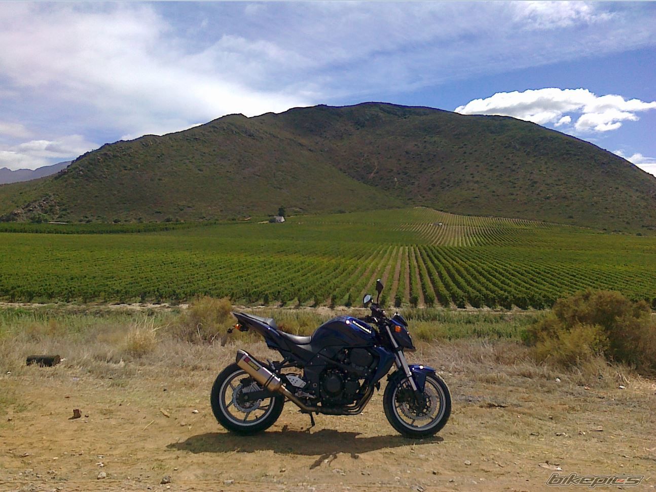 Photo 2530893