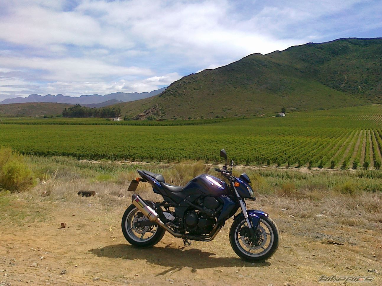 Photo 2530894