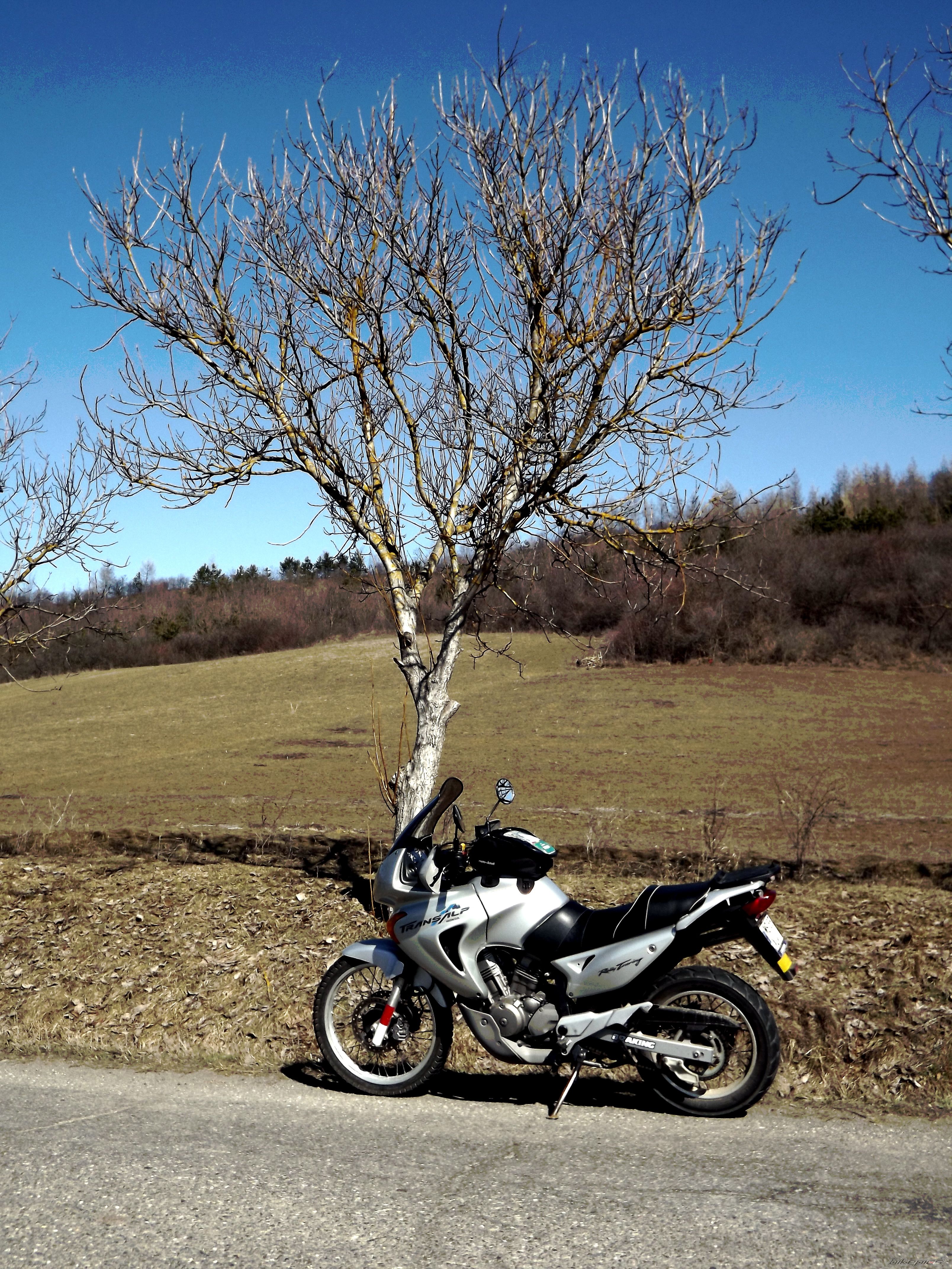 Photo 2530903