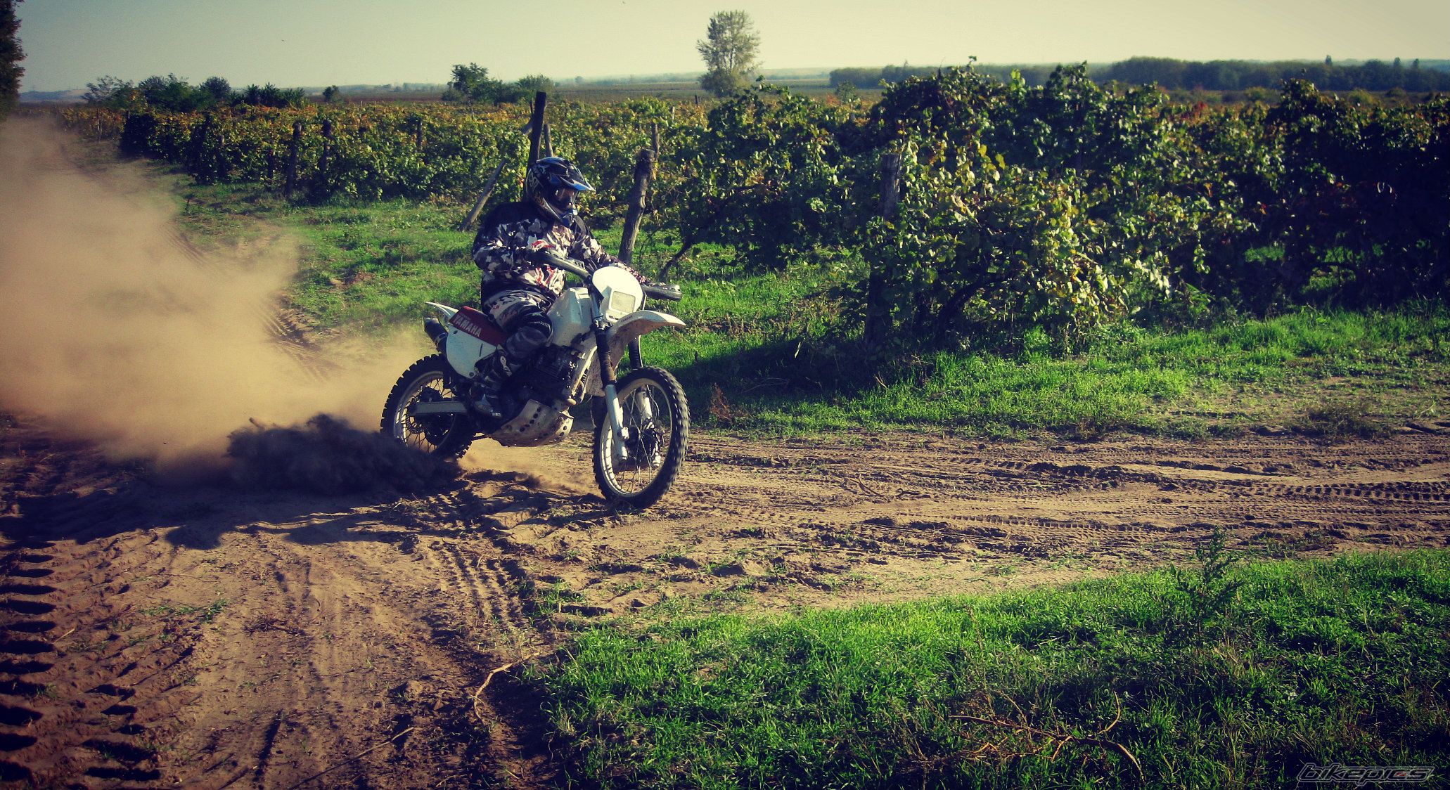 Bike Photo 2530960