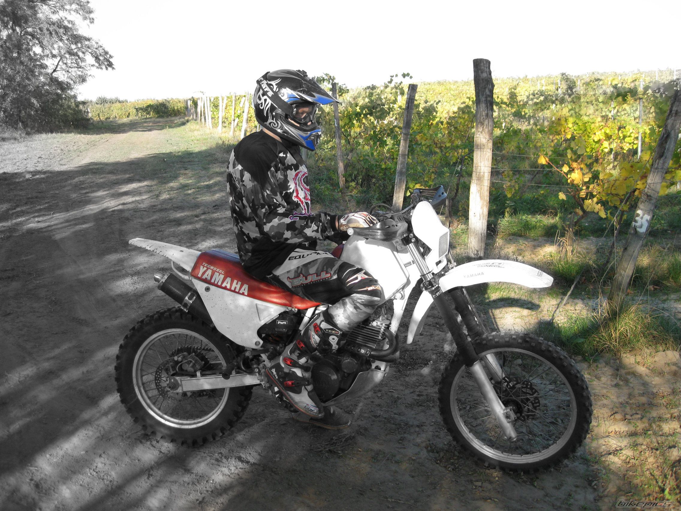 Bike Photo 2530966