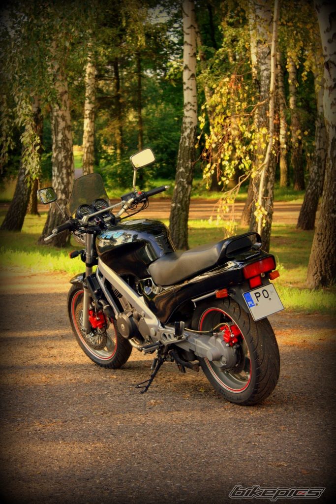 Photo 2530999
