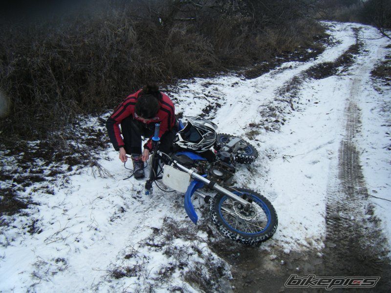 Photo 2531026